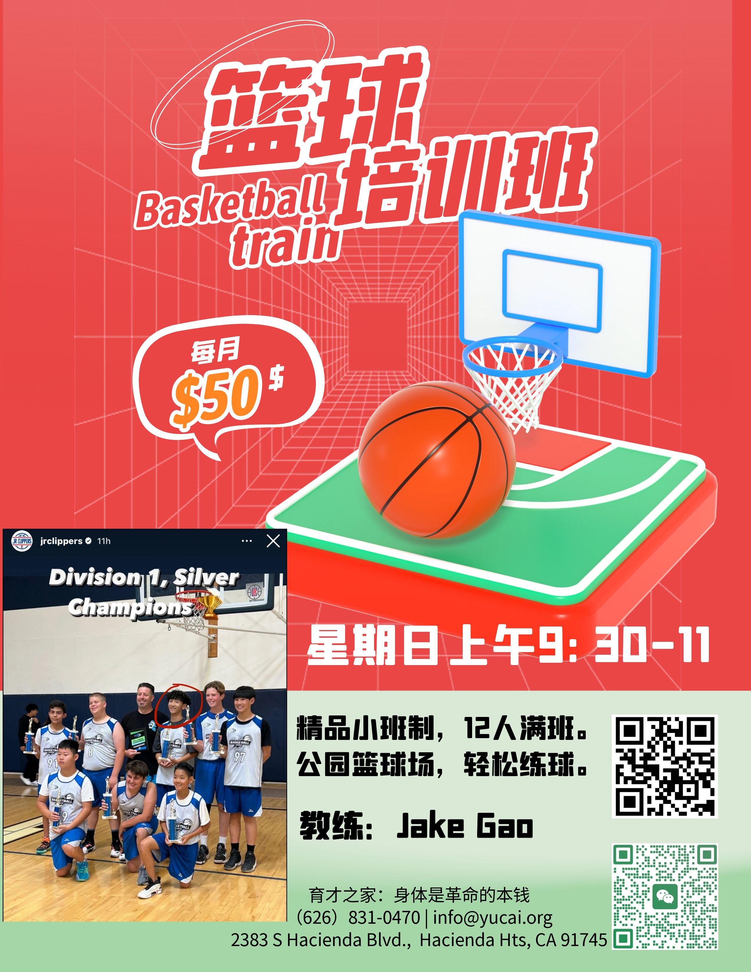 育才篮球培训宣传海报